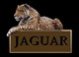   jaguarcatcat