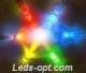   leds_nikolaev