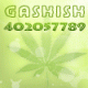   Gashish